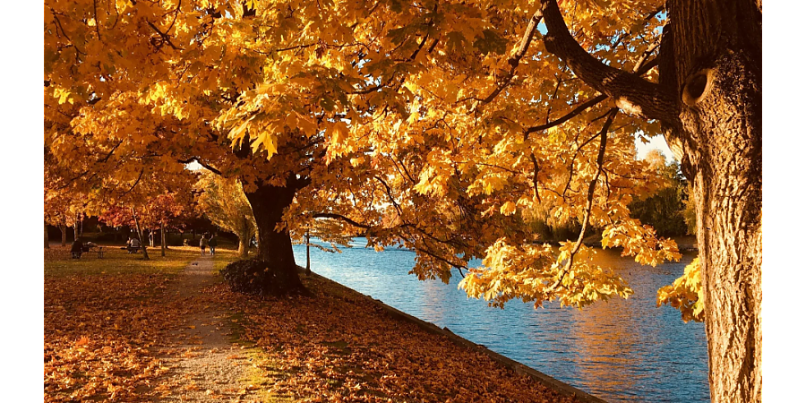 Народные приметы на 8 сентября: что можно и нельзя делать в этот день