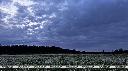 Дождливая с грозами погода ожидается сегодня в Беларуси