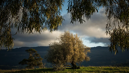 Народные приметы на 6 августа: что можно и нельзя делать в этот день