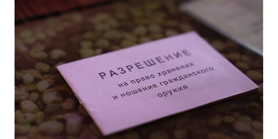 МВД проведет профилактическую акцию "Арсенал" для выявления нелегального оружия