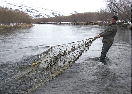 Не лови рыбу сетями — сам в них попадешь!