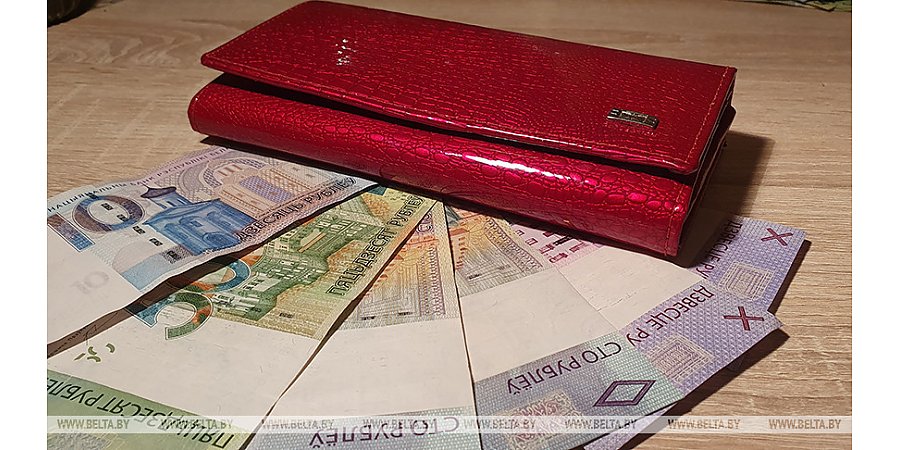 Как будут взыскивать зарплату с нанимателя, если подтвердится факт ее невыплаты. В Беларуси определили порядок