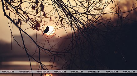 Порывистый ветер и гололедица ожидаются в Беларуси 28 декабря