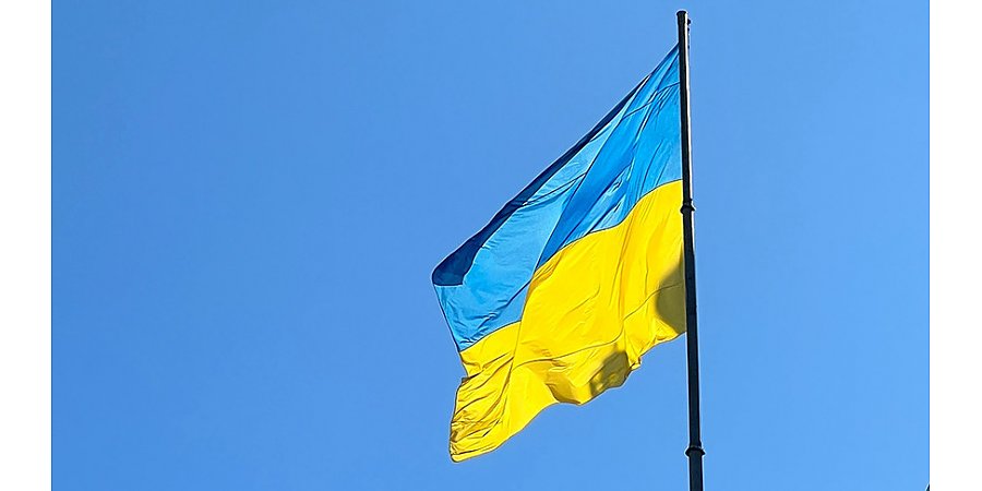 В МИД ЮАР заявили о готовности стран Африки продолжать обсуждение мирного плана по Украине