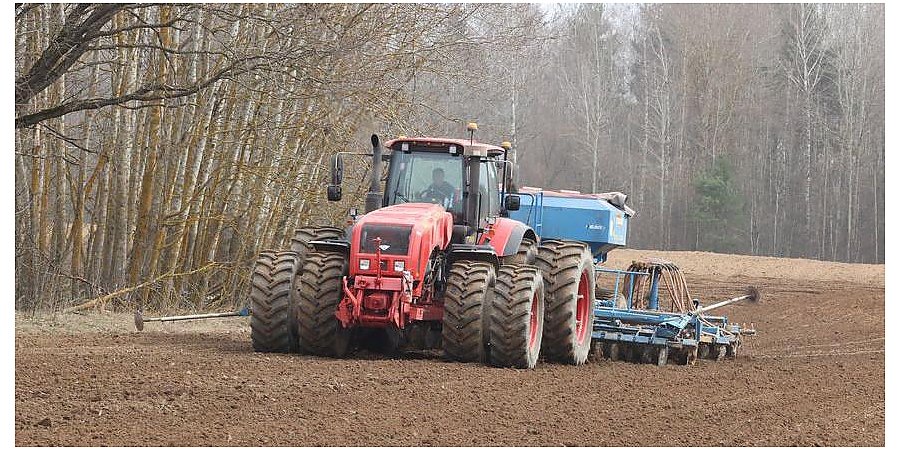 Ранние яровые зерновые и зернобобовые в Беларуси посеяны на 43,5% отведенных площадей