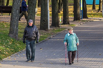 Ценный ресурс. Статистический обзор к Международному дню пожилых людей