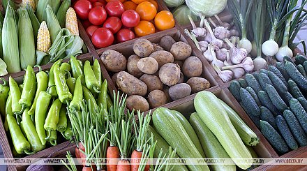 МАРТ рассчитывает исключить проблемы с поставками отечественных овощей и картофеля