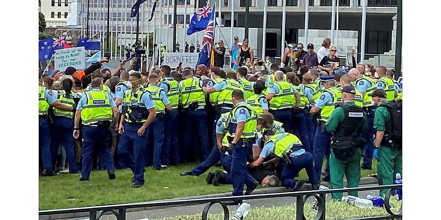 Правоохранители арестовали 120 человек в ходе протестов в столице Новой Зеландии