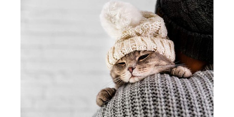 Метель и сильный ветер. Сложные погодные условия прогнозируют синоптики на воскресенье