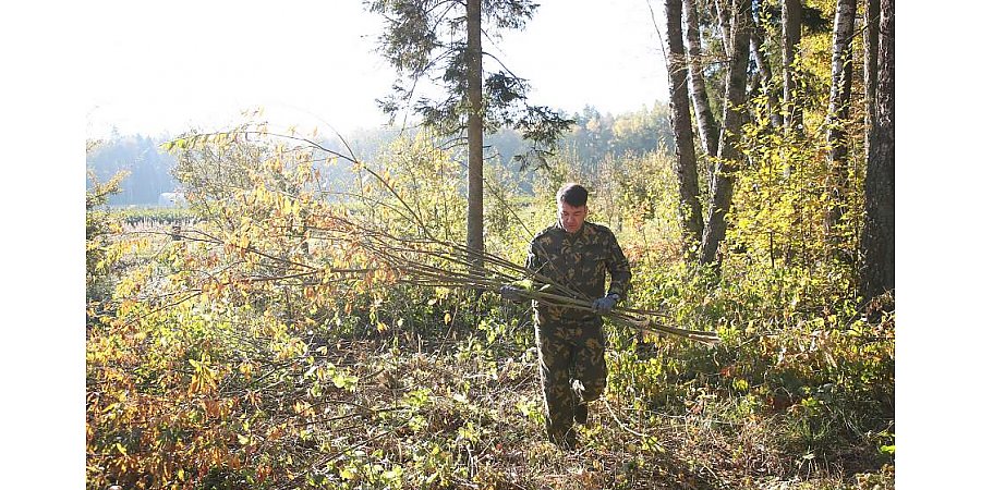 «Наша задача - оставить чистые леса будущим потомкам». Заместитель председателя облисполкома Виктор Пранюк присоединился к республиканской акции «Чистый лес»