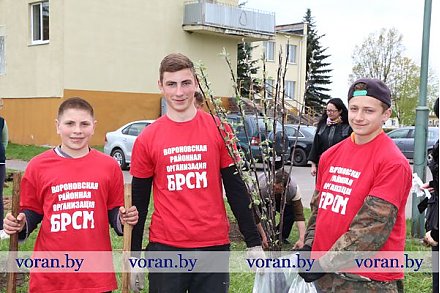 Яблоневые аллеи появились рядом с некоторыми учреждениями образования Вороновщины по случаю предстоящей 100-летней годовщины ВЛКСМ (Фото +Видео)