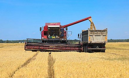 Жатва-2022: намолот зерна приближается к 400 тыс. тонн