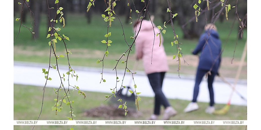 Республиканский субботник пройдет в Беларуси 12 апреля