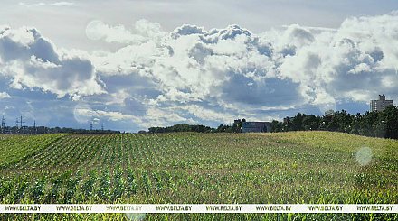 До +22°С будет сегодня в Беларуси