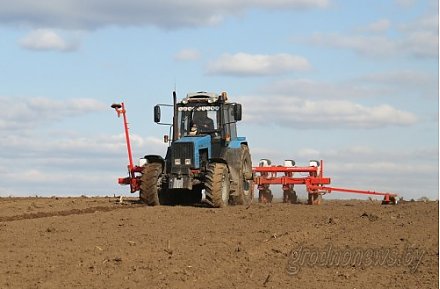 В десяти из семнадцати районов области завершили посадку картофеля