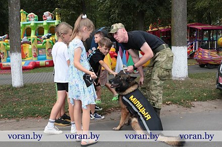 В Вороново празднуют районные «Дожинки-2023»
