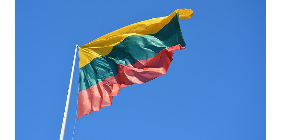 Опрос: все больше жителей Литвы резко негативно оценивают работу правительства Ругинене
