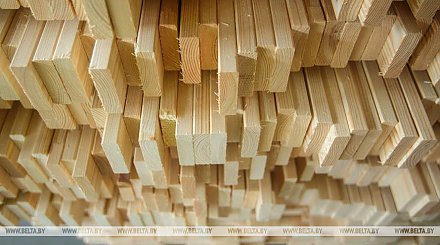 В Беларуси изменили порядок реализации пилопродукции на экспорт