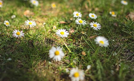 Теплая дождливая погода ожидается в Беларуси на этой неделе