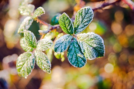 Возможны первые осенние заморозки. Прогнозом на неделю с 22 по 28 сентября поделился синоптик Дмитрий Рябов