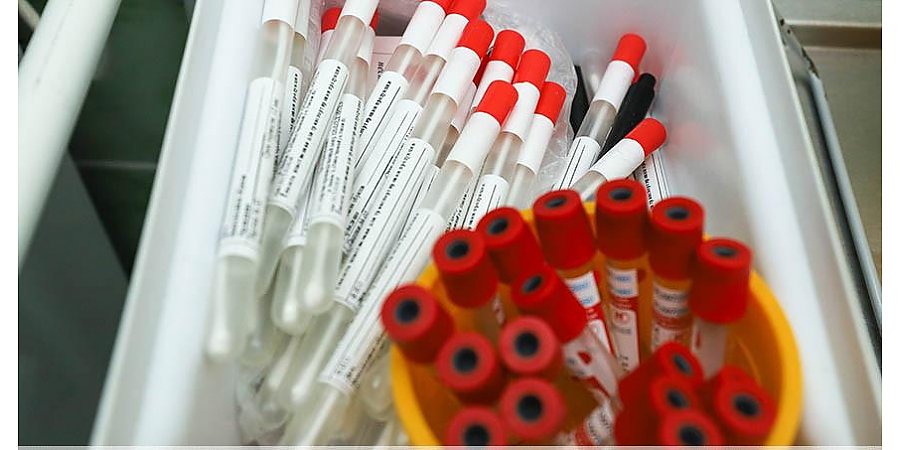 В ВОЗ сообщили, что ПЦР-тесты распознают новый штамм коронавируса