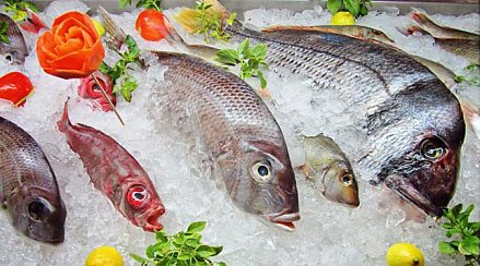 В перспективе покупатели рыбы перестанут платить за лед: с 1 сентября вступит в силу техрегламент ЕАЭС