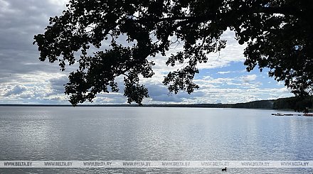 Семь детей утонули в водоемах Беларуси с начала года