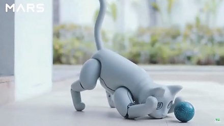 В Китае создали кота-робота, которого можно дрессировать