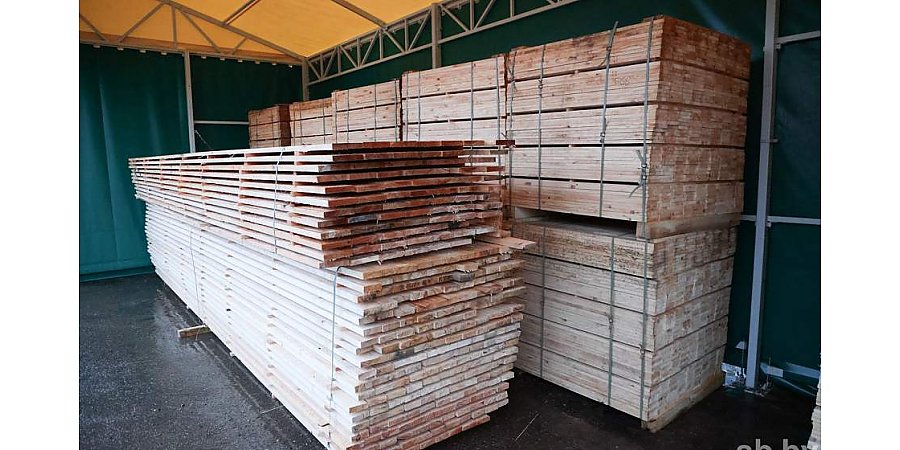 В 2023 году лесхозы Беларуси нарастили экспорт пиломатериалов почти на 40%
