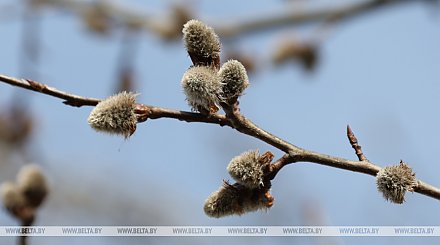 Прогноз позитивный: Рябов о погоде в первую неделю весны