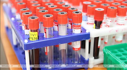 Законопроект о донорстве крови могут внести в парламент в 2020 году - Макарина-Кибак