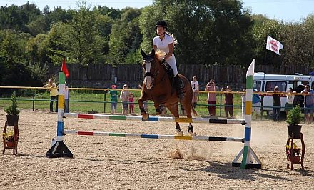 Атмосфера Дикого Запада, стрельба из лука и мастер-классы. Как в "Коробчицах" прошел День лошади