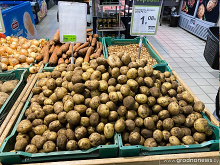 В Академии наук назвали реальную цену белорусской картошки