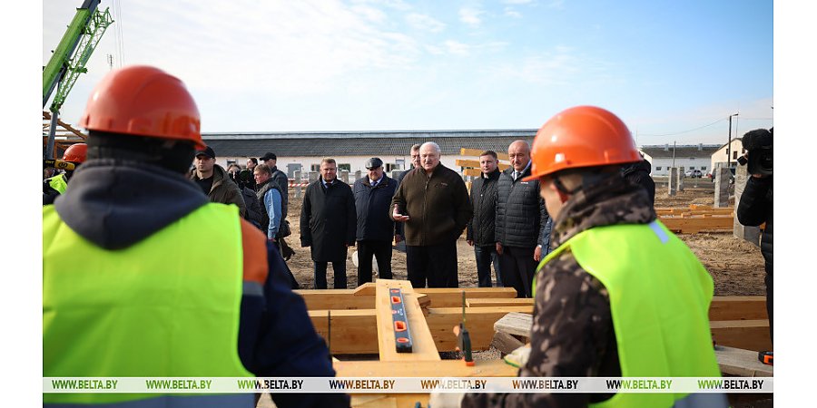 Образец для Полесья. Александру Лукашенко представили проект опытного строительства МТК из деревянных конструкций