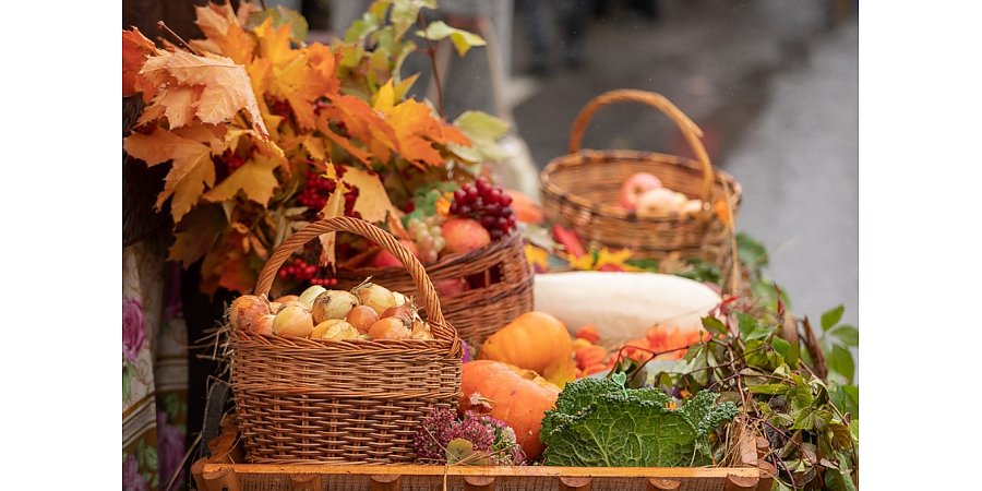 В Вороновском районе пройдут сельскохозяйственные ярмарки