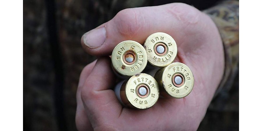 С 1 сентября в Беларуси откроется сезон охоты на бобра и выдру