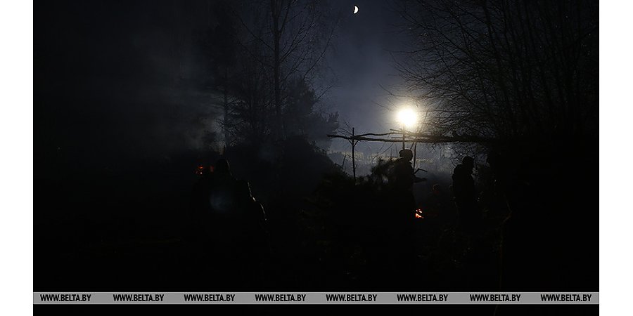 Welt: за перевозкой мигрантов с польской границы стоят в большинстве контрабандисты из Германии