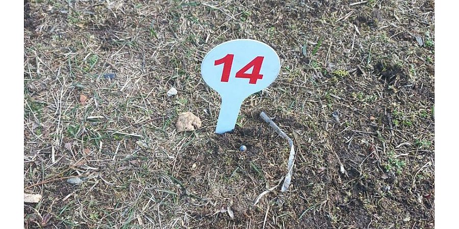 Польские силовики обстреляли белорусский пункт пропуска "Песчатка"