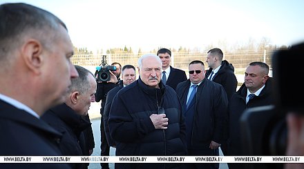 Александр Лукашенко ориентирует на более быстрое развитие племенного животноводства в Беларуси 