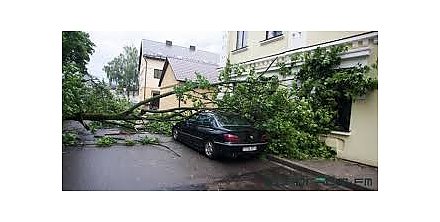 Последствия грозового фронта, прокатившегося в пятницу по Гродненщине, практически устранены