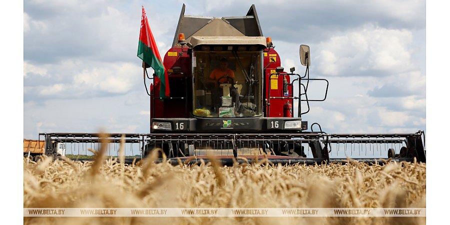 "Вы справитесь с любыми задачами". Александр Лукашенко поздравил работников АПК с профессиональным праздником