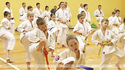 В спортивных школах Гродненской области будут заниматься свыше 22 тыс. детей