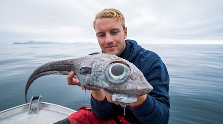 Рыбак из Норвегии выловил "инопланетную" рыбу и съел ее