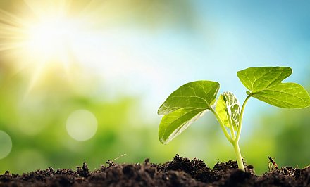 «Умное» освещение, сокращение СО2, экономия для бюджета. Экономический форум пройдет в Новогрудке