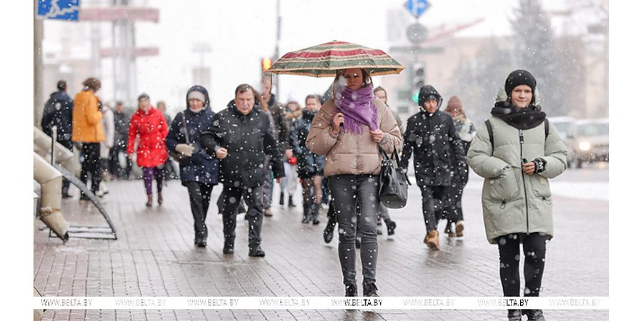 Сотни встреч и более 1 тыс. обращений. Доверенные лица Александра Лукашенко на выборах рассказали о наказах избирателей