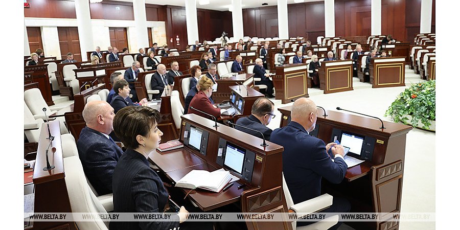 Депутаты приняли во втором чтении законопроект о республиканском бюджете на 2024 год