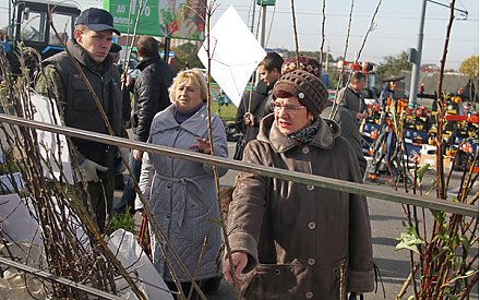 В субботу, 25 марта, в Вороново пройдет «Бярозавы фэст»: будут сок, садовый инвентарь, семена и привлекательные цены! (+Программа)