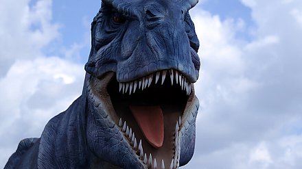 В пересохшей реке в Техасе обнаружили отпечатки лап динозавров