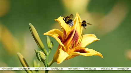 Где сегодня будет жара до +33°С, а где - кратковременные дожди?