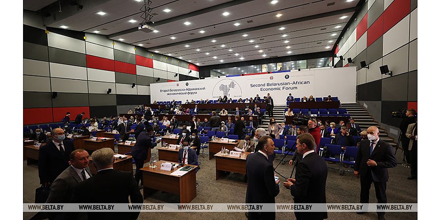 Беларусь рассматривает Африканский континент как один из важных элементов многовекторной внешней политики - Борисевич